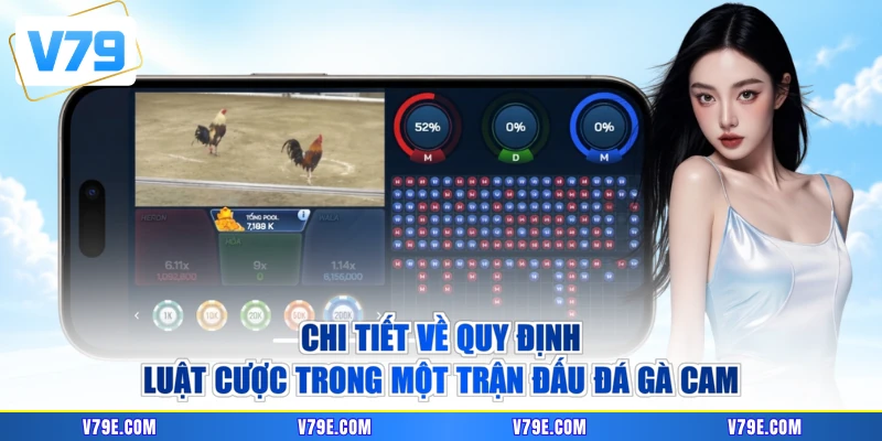 Chi tiết về quy định luật cược trong một trận đấu đá gà cam