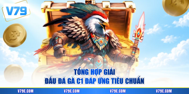 Tổng hợp giải đấu đá gà C1 đáp ứng tiêu chuẩn