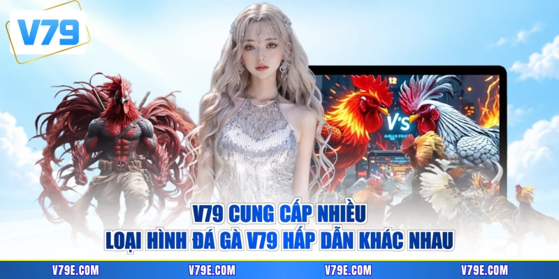 V79 cung cấp nhiều loại hình đá gà V79 hấp dẫn khác nhau